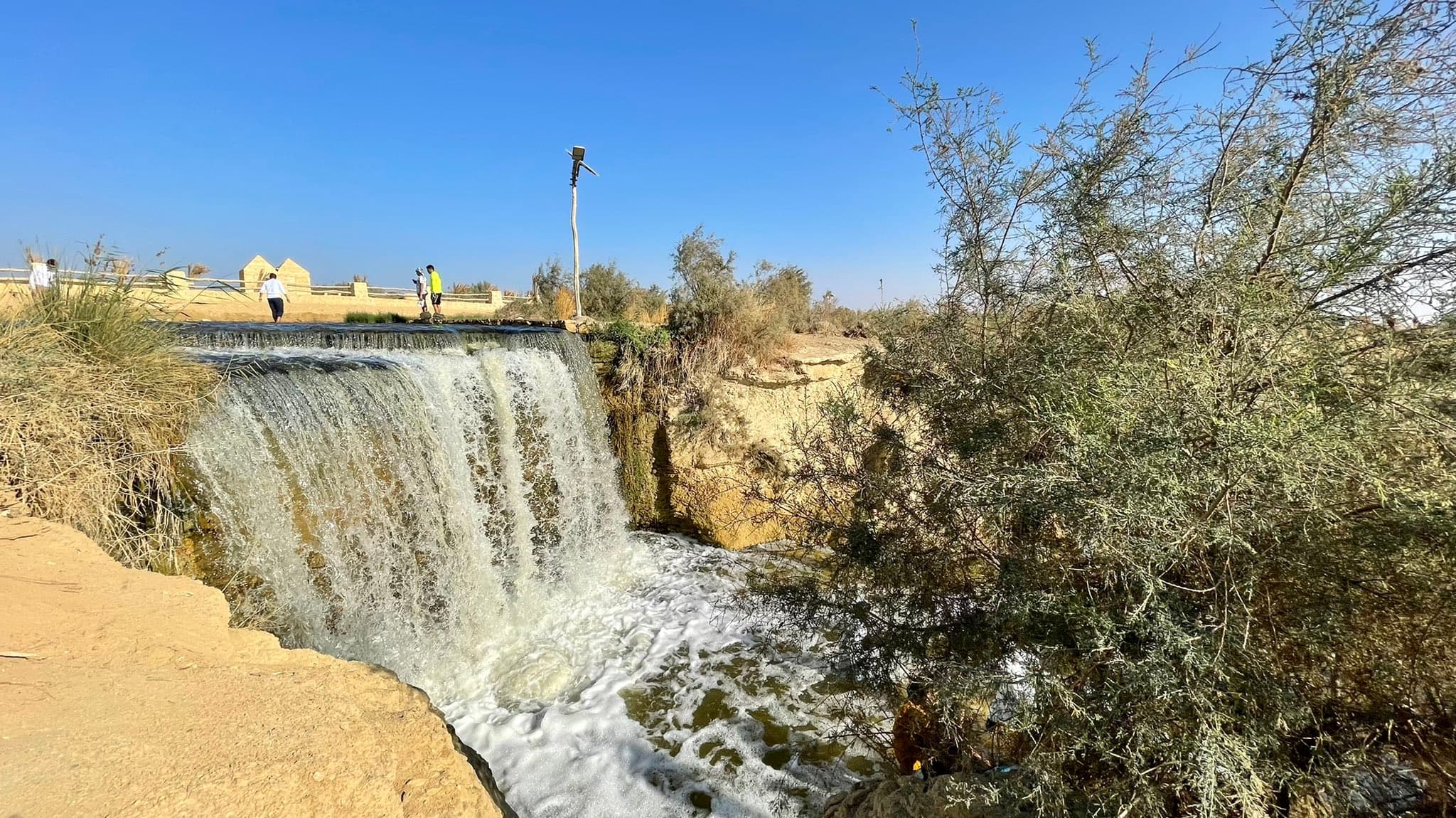 Fayoum Oasis Day Tour